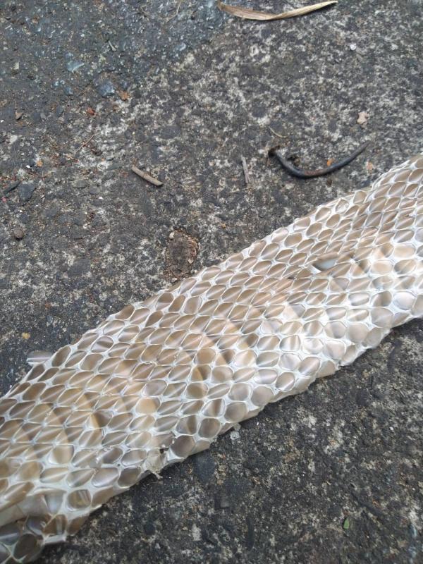 197ABA36-C97F-4753-B34B-572734FAA7DC Image-197ABA36-C97F-4753-B34B-572734FAA7DC