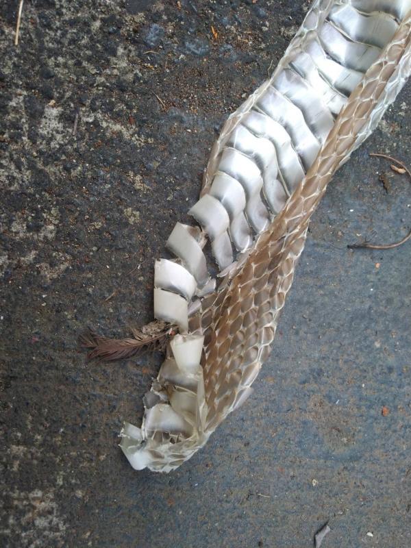 A6169759-22D7-410F-86A2-DB41C7C0E8D5 Image-A6169759-22D7-410F-86A2-DB41C7C0E8D5