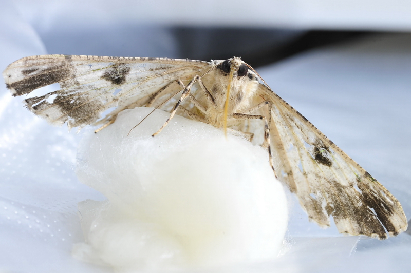 Image-qa_20120109095428_1