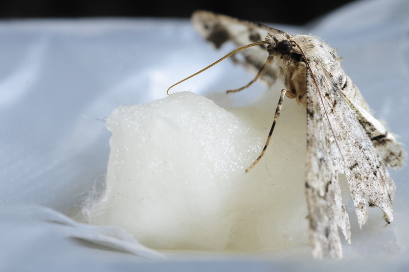 Image-qa_20120109095428_2