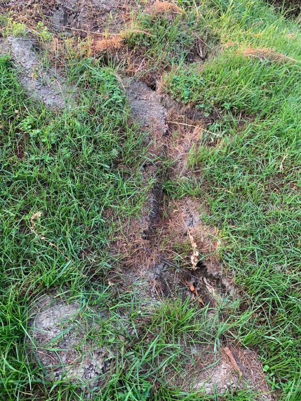 Image-30C43EBB-F40E-45FB-ADE0-175DF5062462