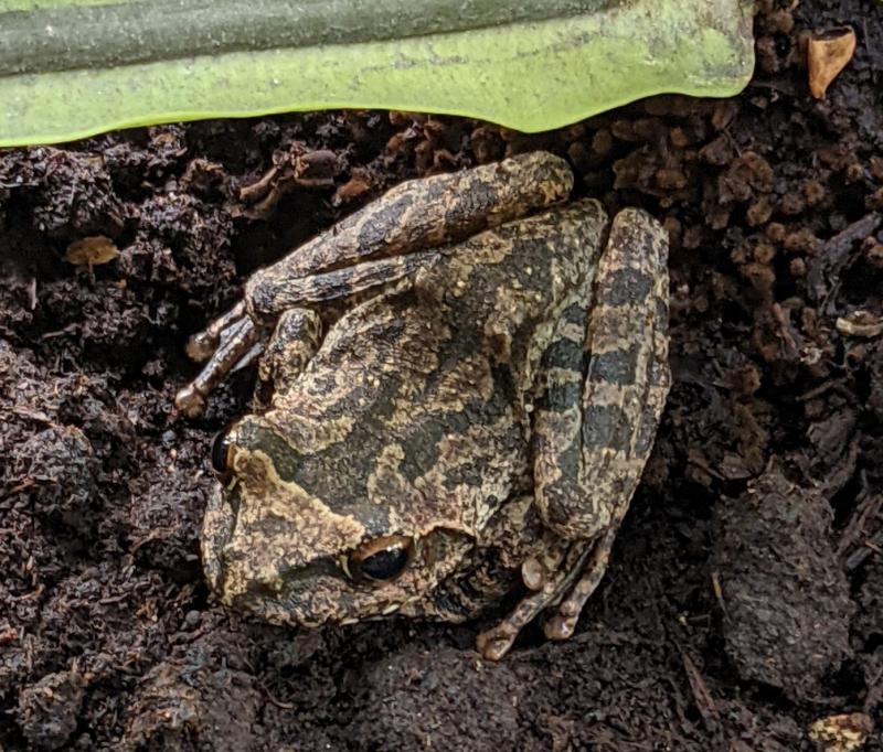 Image-PXL_20220703_083901287