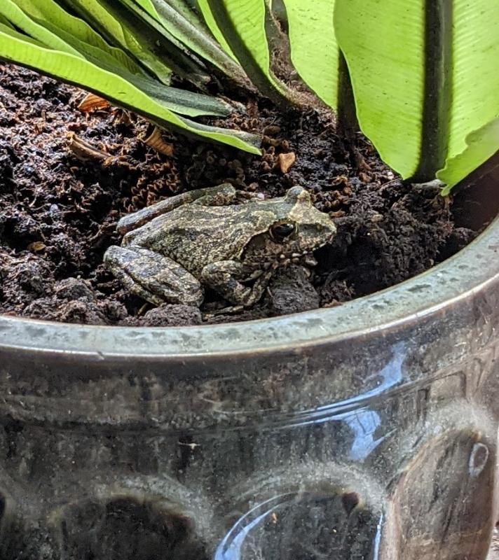 Image-PXL_20220703_080613002