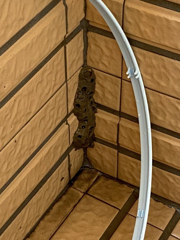 Image-5DF957CF-977C-4C6E-8ADD-60B54DFD2F1D