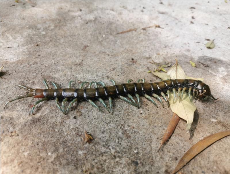 Image-IMG_20200321_102904