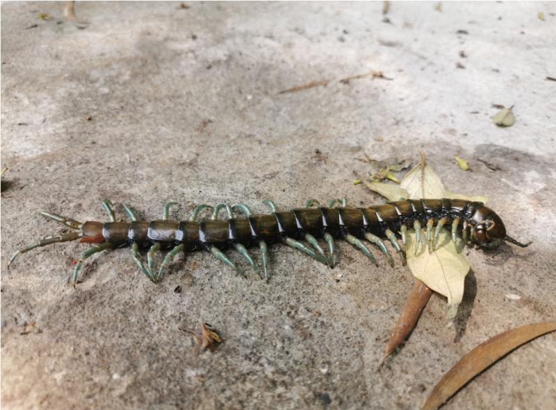 Image-IMG_20200321_102906