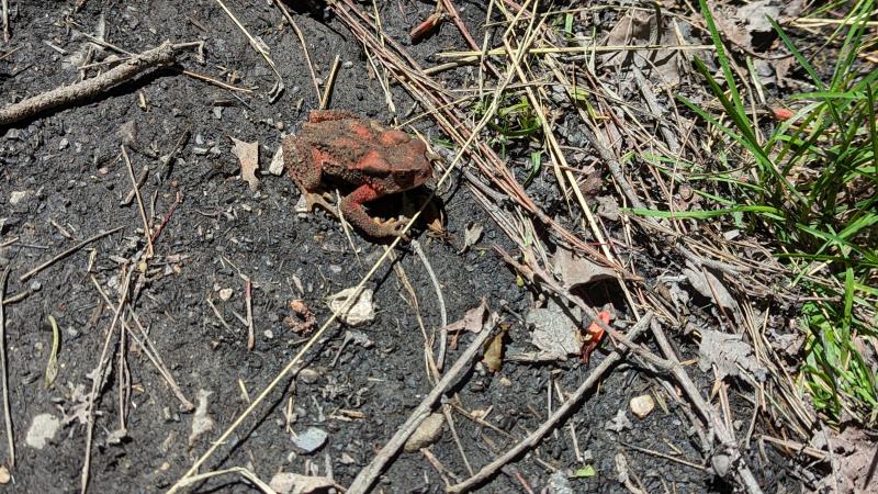 Image-PXL_20230815_053007267