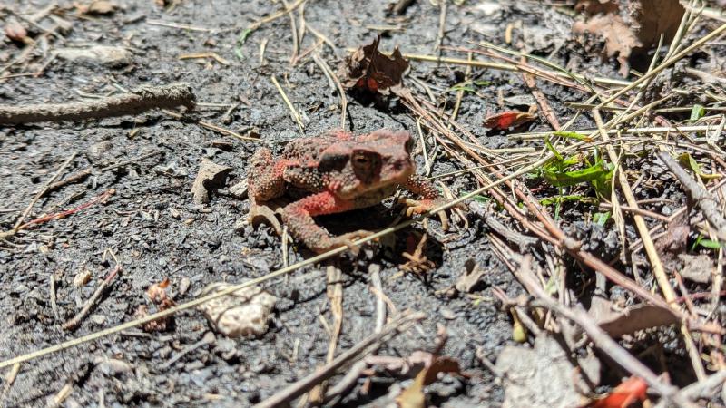 Image-PXL_20230815_053114375