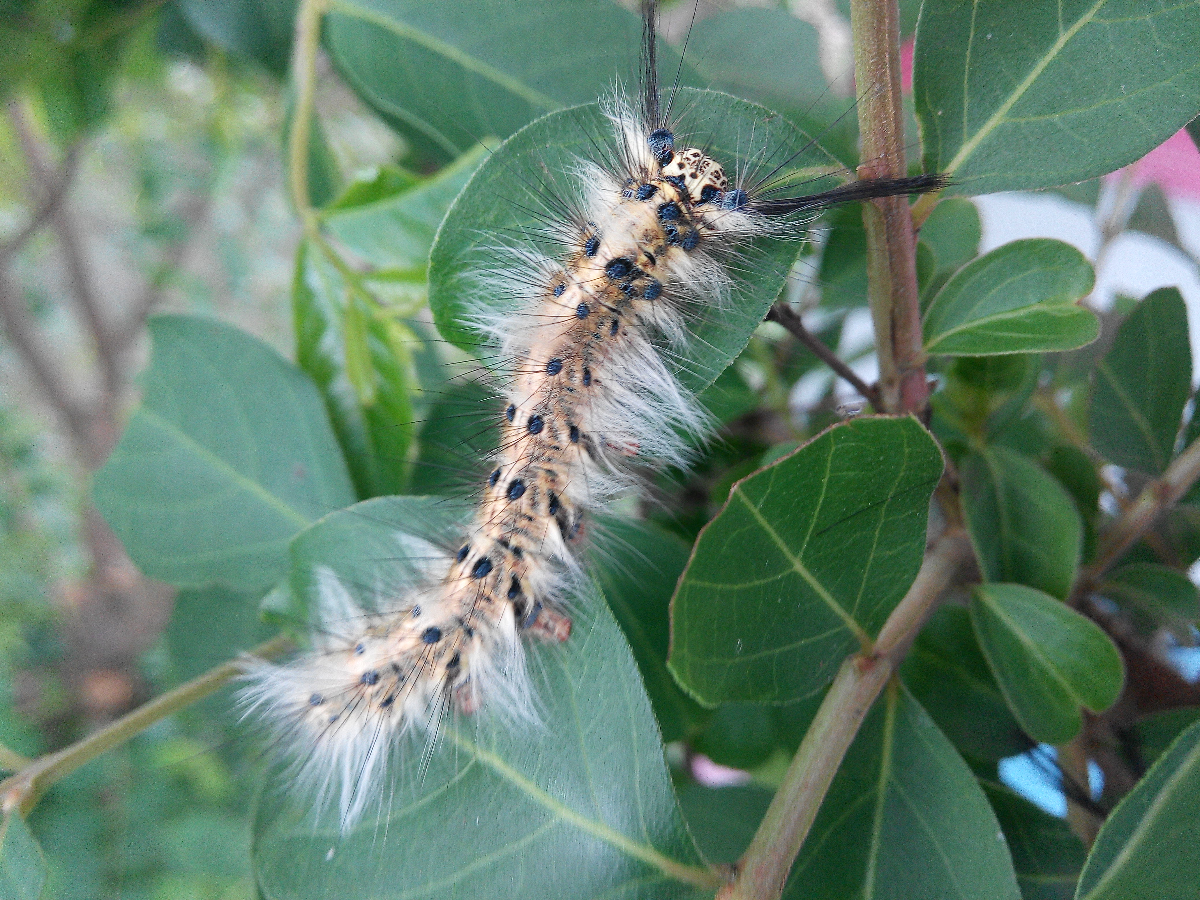 Image-qa_20160419100910_1