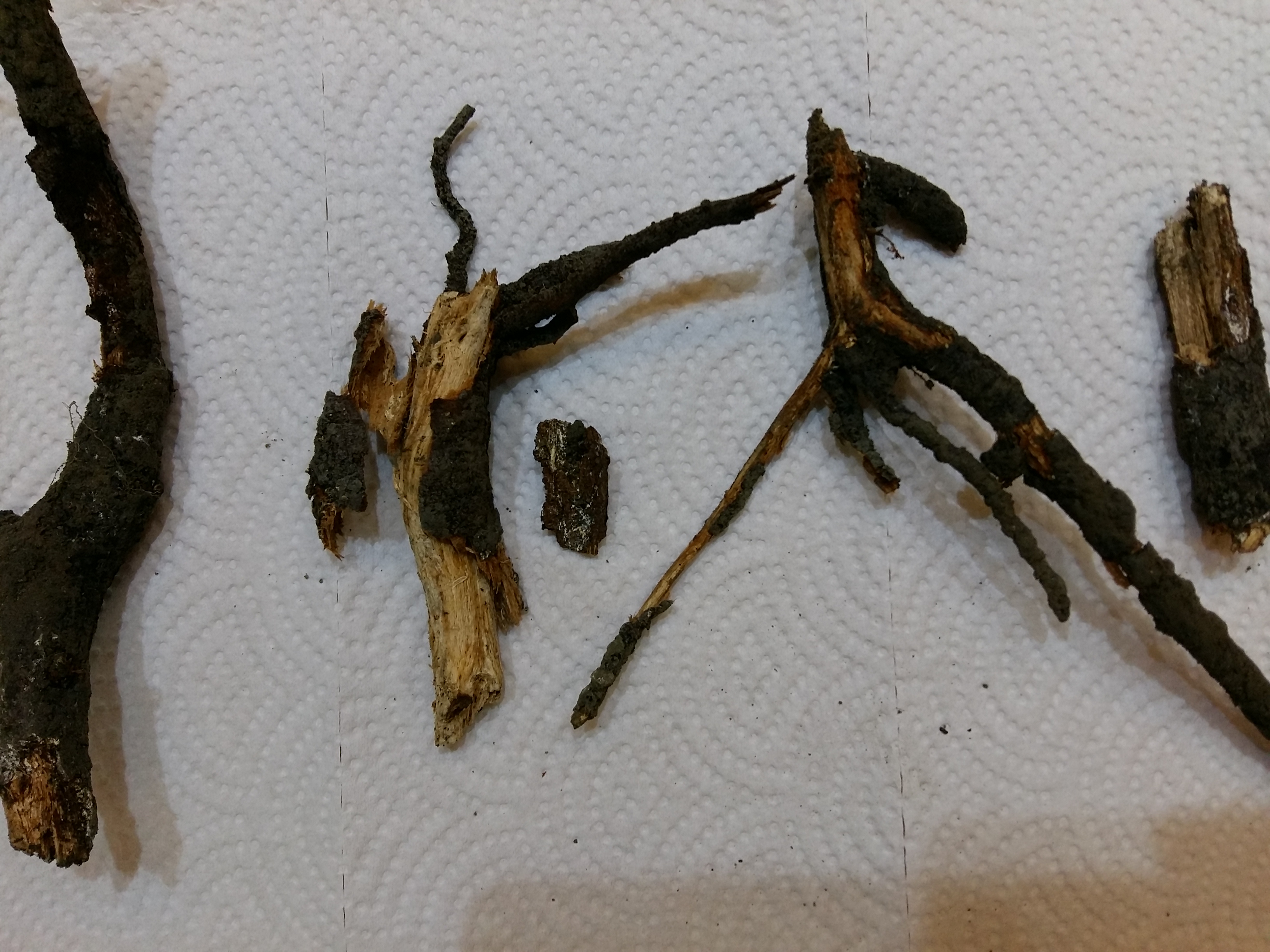 Image-qa_20151213164243_1
