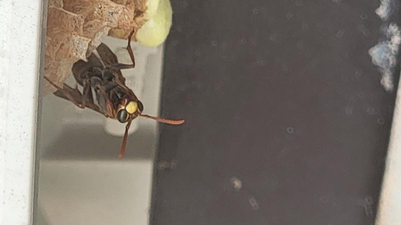 Image-20230501_150221