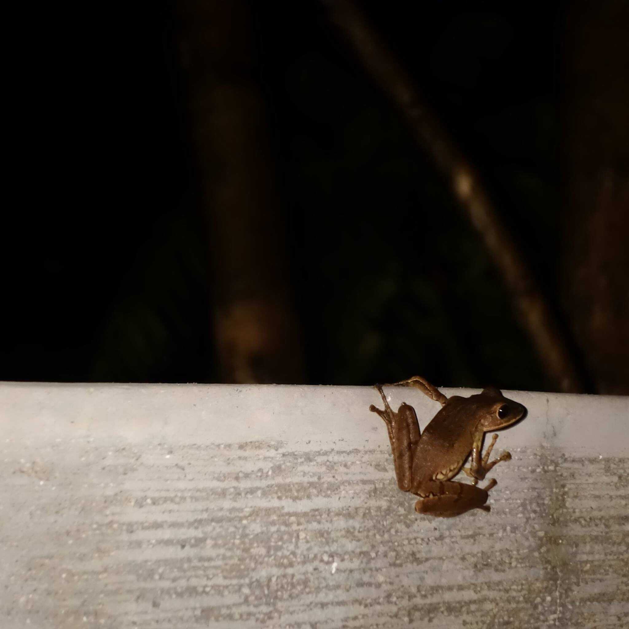Image-qa_20150917101845_1