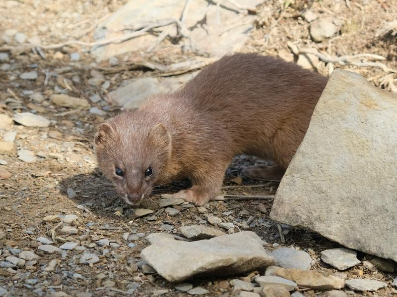 Image-453764C6-0923-44D2-B6E8-5715FBF8877E