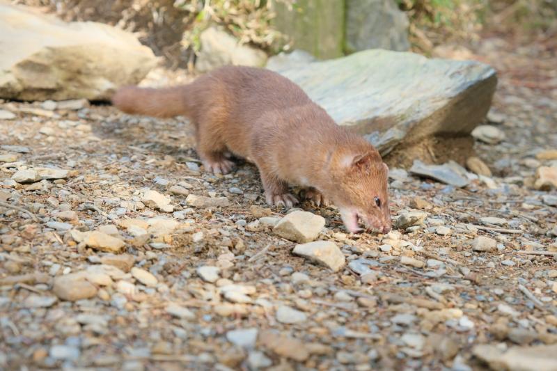 Image-B897E241-32CF-488A-B8D1-1E11E6FCA868