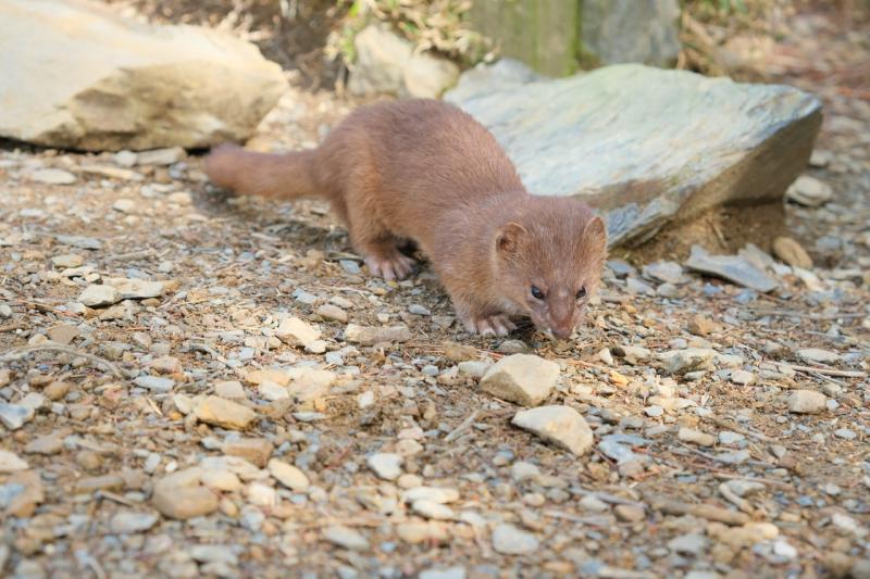 Image-9E4DCC8C-B028-4F19-A619-87D38089508B