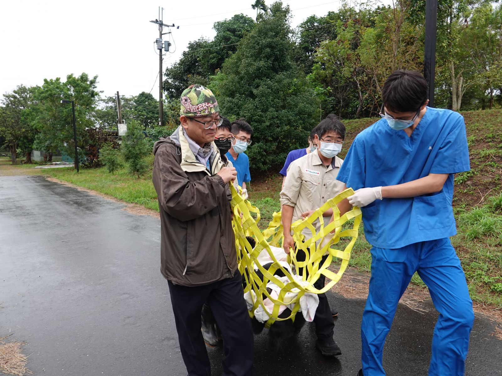圖4.生多所所長和急救站獸醫師將熊抬至手術室途中_農業部生物多樣性研究所提供(梁翠芳攝) 生多所所長和急救站獸醫師將熊抬至手術室途中