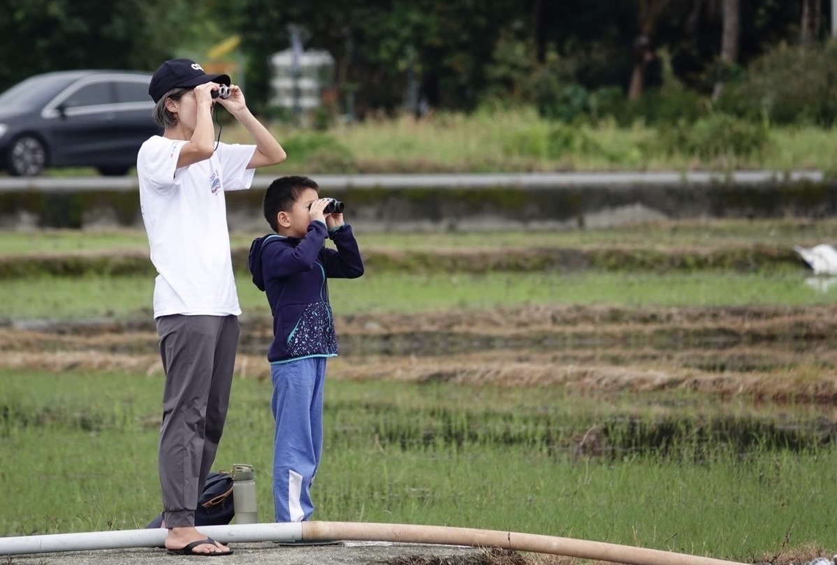 觀賞生物的圖片