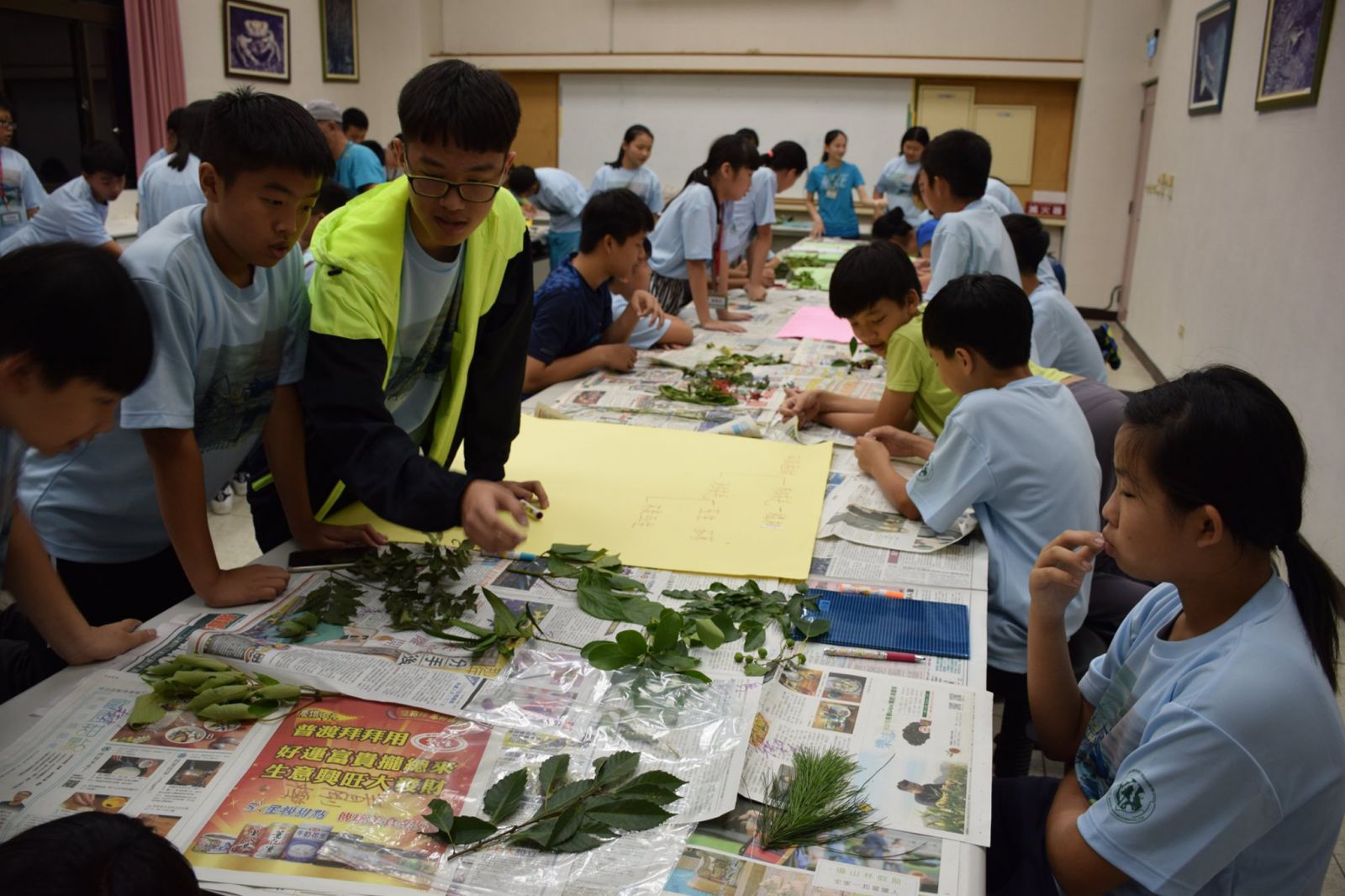 圖一、學會系統化觀察、辨識與紀錄,讓青少年加入公民科學行列 圖片一