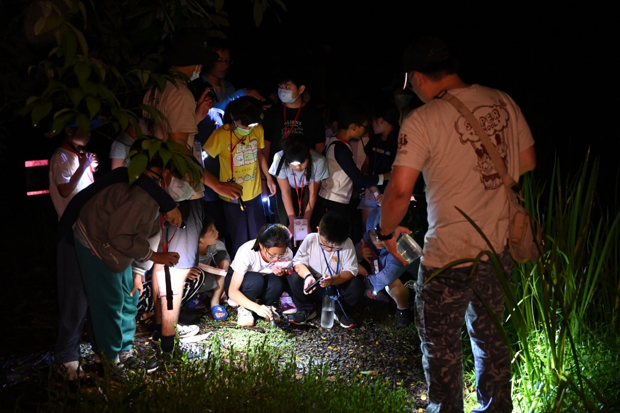 圖二、白天不懂夜的黑,許多昆蟲、動物到了天黑才出來活動的夜行性生物,值得細細等待及觀察 圖片2