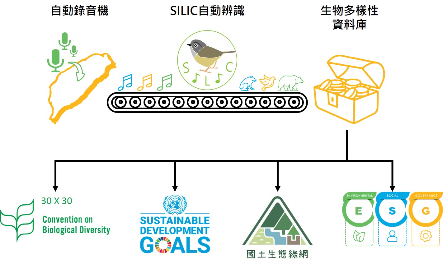 透過自動錄音機架設、SILIC自動辨識及生物多樣性資料庫整合運用，大幅提升監測效率，成果可反映到我國於國土綠網、SDGs、生物多樣性公約2030...