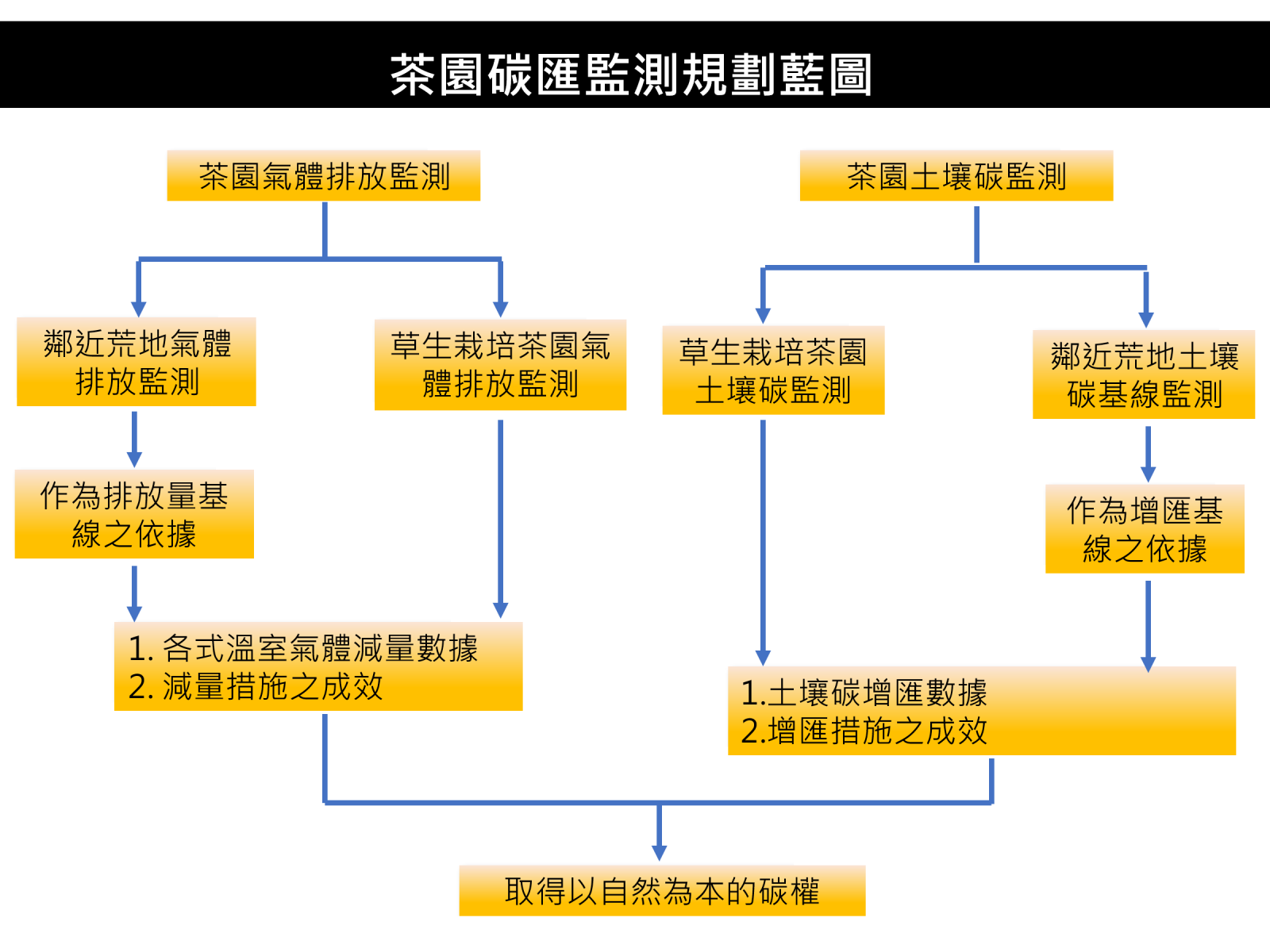 茶園碳匯監測規劃藍圖