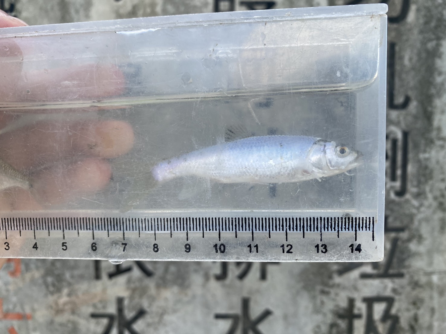 附件2