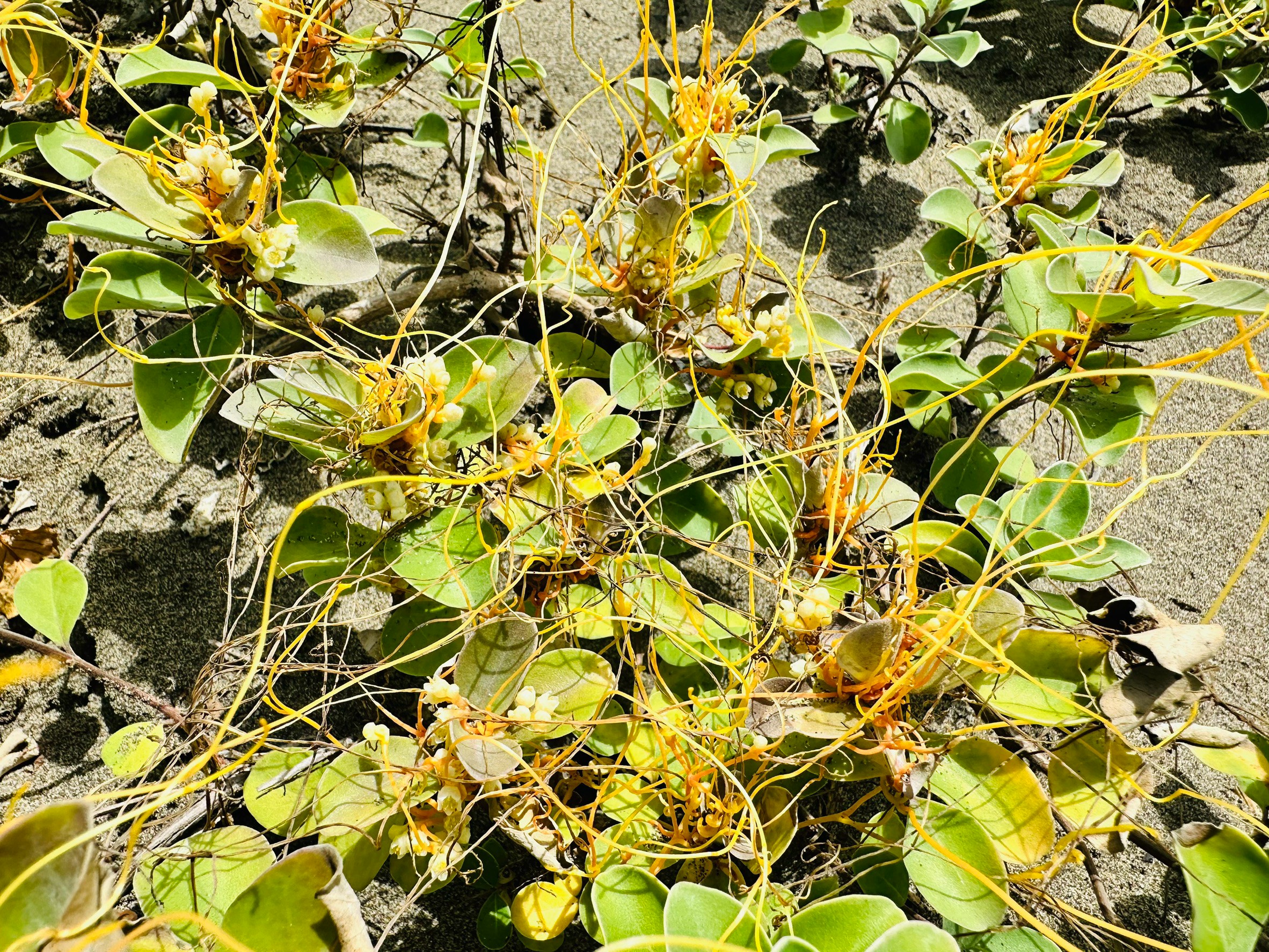 附件3