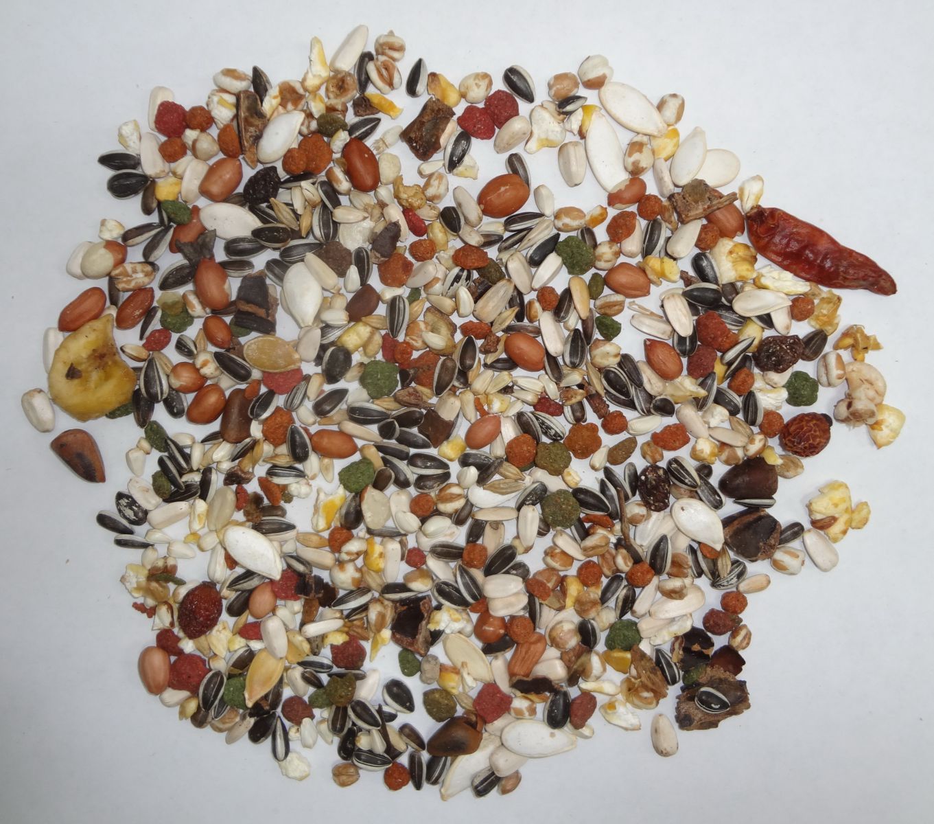 部分鸚鵡飼料含有大麻種子