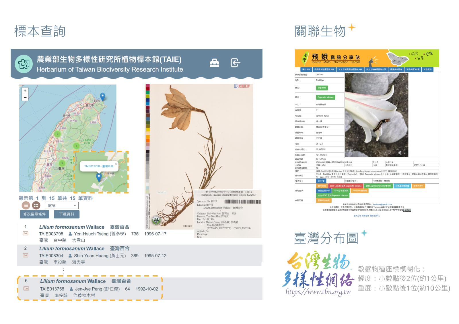 跨平台連結「植物標本館」(TAIE)的典藏標本、「生物多樣性網絡」(TBN)的物種分布現況，並整合「飛蛾資訊分享站」的蛾類食草資料。