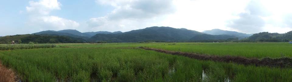 圖一、兼具森林及農地的田寮洋環境,棲息於此的鳥類相當豐富 圖一、兼具森林及農地的田寮洋環境,棲息於此的鳥類相當豐富