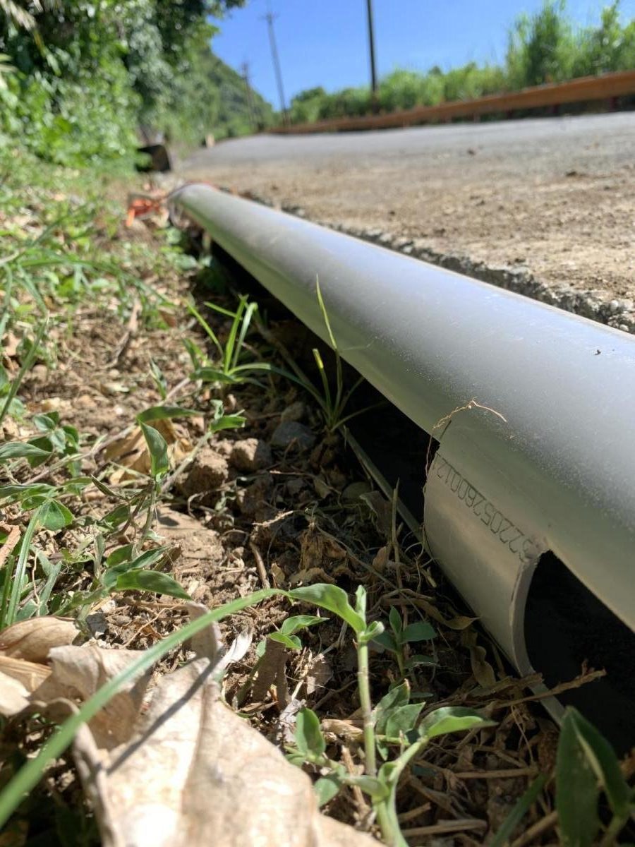 圖片2.草地上架設剖長條縫隙的PVC水管。農業部生物多樣性研究所提供（陳歆 攝）