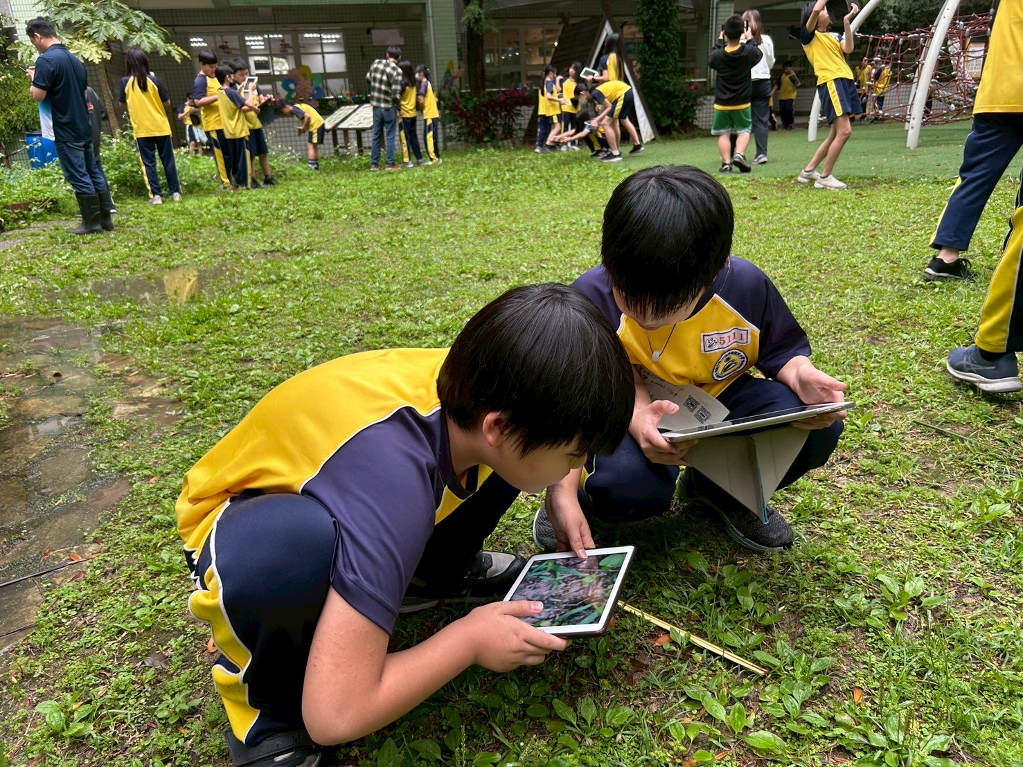 圖2、《愛自然》(iNaturalist) 到校推廣從觀察出發，打造校園生物多樣性圖鑑。(生多所 提供)