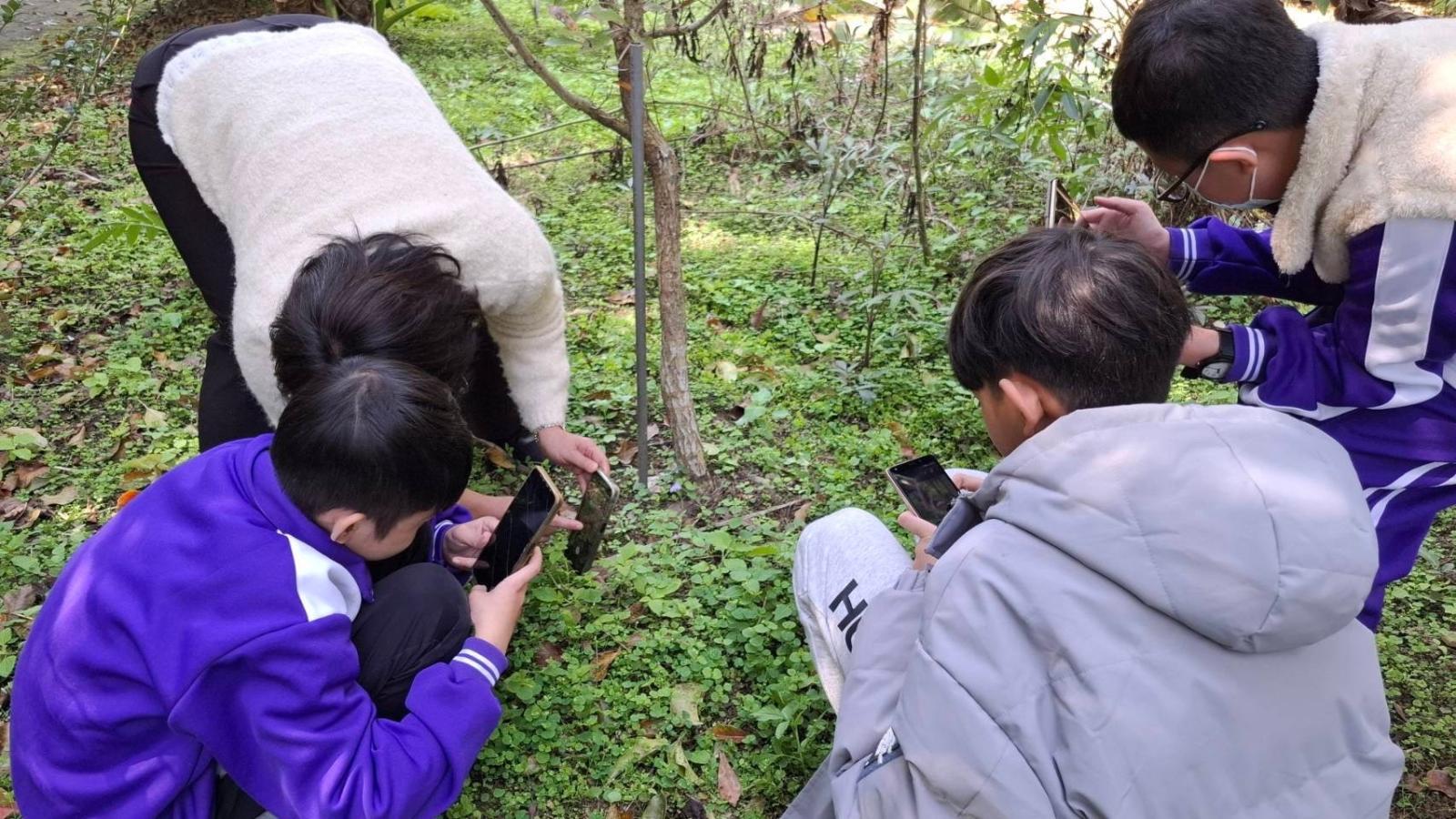 圖3、學生利用《愛自然》(iNaturalist) APP在生活中成為「小小自然觀察家」，參與記錄在地物種。(生多所 提供)