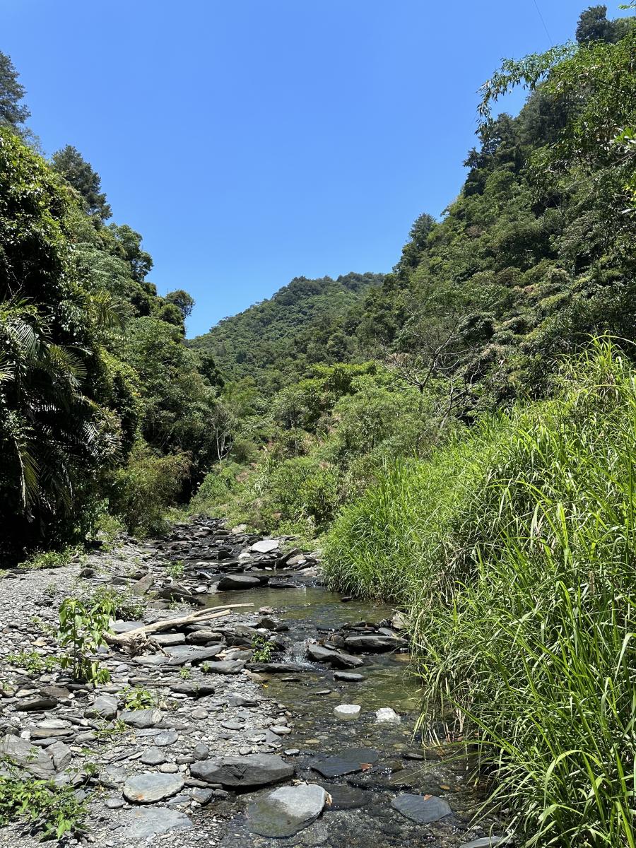 圖1、開闊的溪畔與林緣是許多蝴蝶偏好的棲地樣貌,遙測數據有助精準辨識其地景特徵。農業部生物多樣性研究所提供(黃靜宜攝) 圖1、開闊的溪畔與林緣是許多蝴蝶偏好的棲地樣貌,遙測數據有助精準辨識其地景特徵。農業部生物多樣性研究所提供(黃靜宜攝)