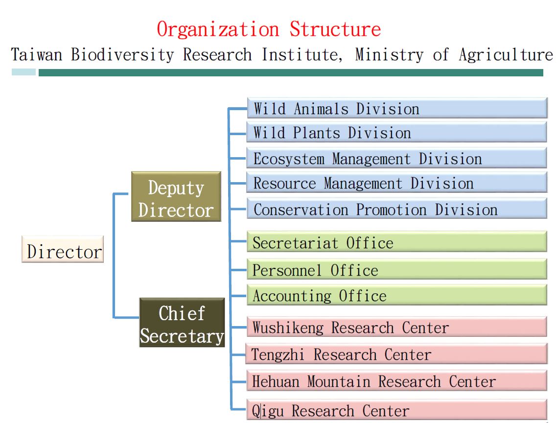 Organization Structure and Duties