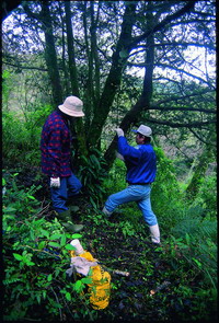 Plant population distribution and bio-inventory research. (by Huang Shih-Yuan)