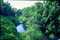 River ecology area (by Ai Tai-Lin)