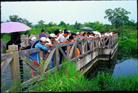 Conservation activities build bridges between people and nature(by Huang Jyun-Yuan)