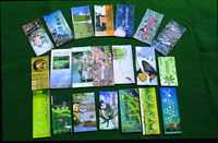A short-cut to learn about Taiwan's ecology--books and magazines published by ESRI (by Huang Siou-Yu)