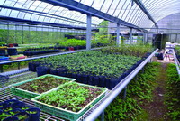 Endemic and rare plant greenhouse at the Low Altitude Experimental Station(by Ho Tung-Chi)