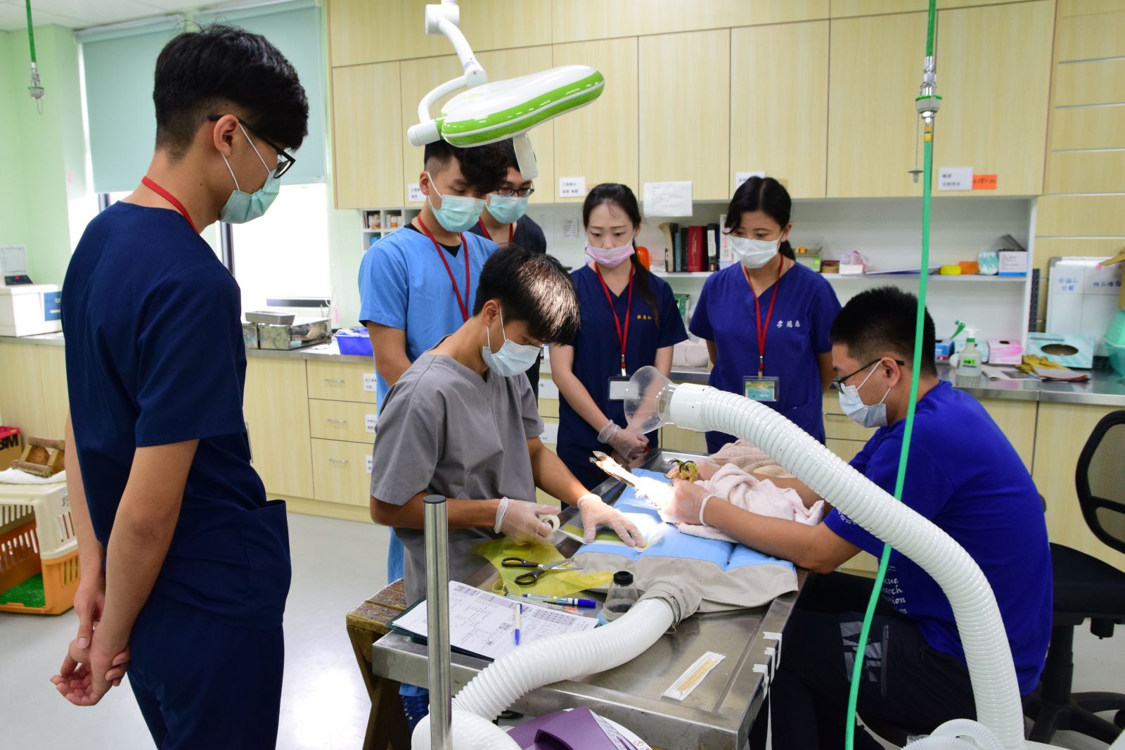 野生動物救援醫療人才培訓