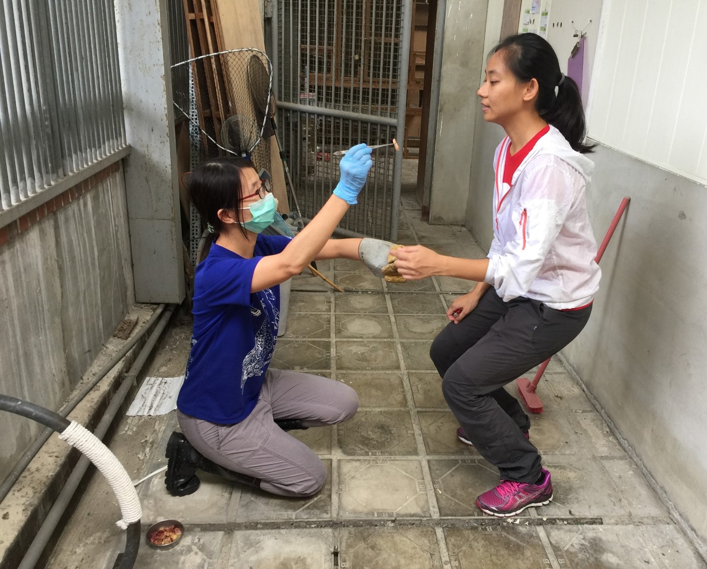 野生動動物大使系統化訓練