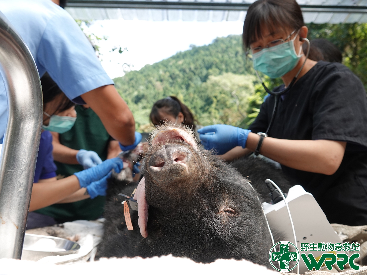 疾病篩檢與監測