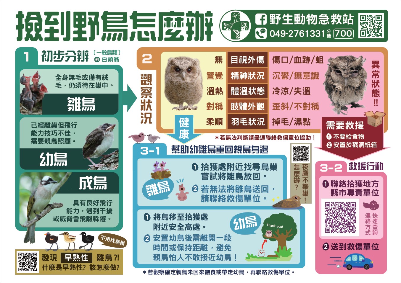 撿到野鳥的流程圖